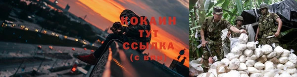 гашик Магас