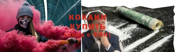сатива Магадан