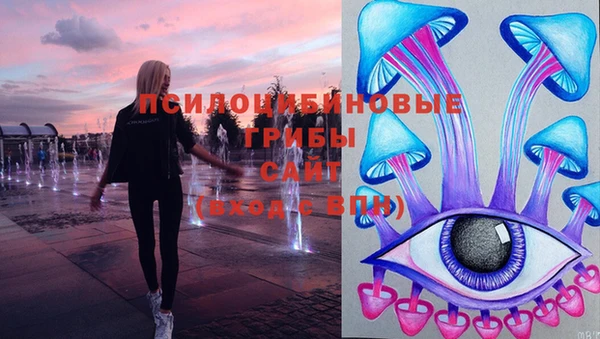 сатива Магадан