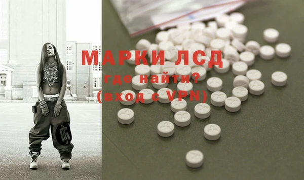 сатива Магадан