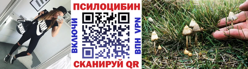 Галлюциногенные грибы Psilocybe Купить где Хабаровск